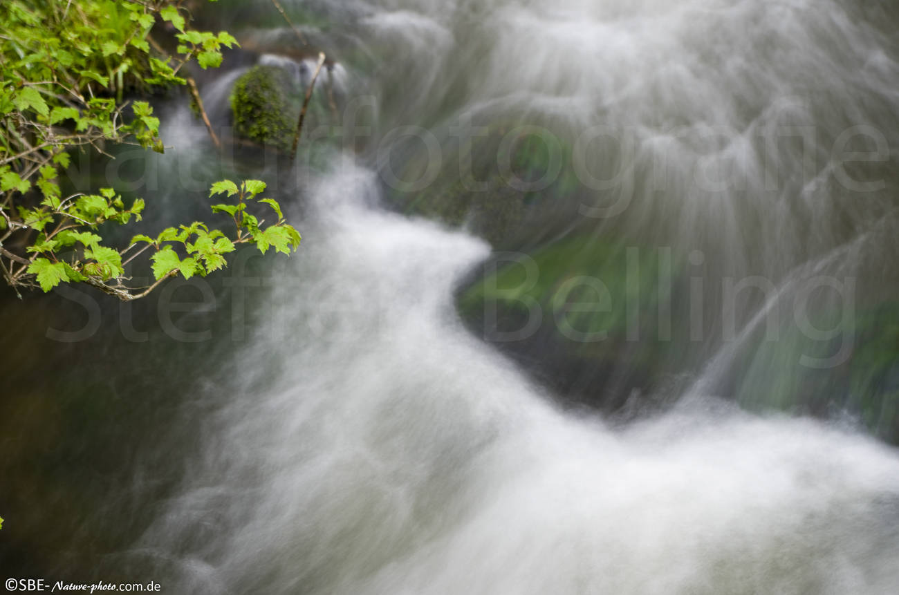 _IGP5793